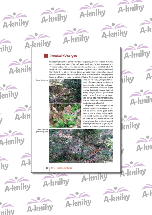 Rys výnimočný lovec - Image 3