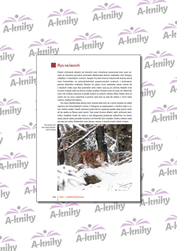 Rys výnimočný lovec - Image 5