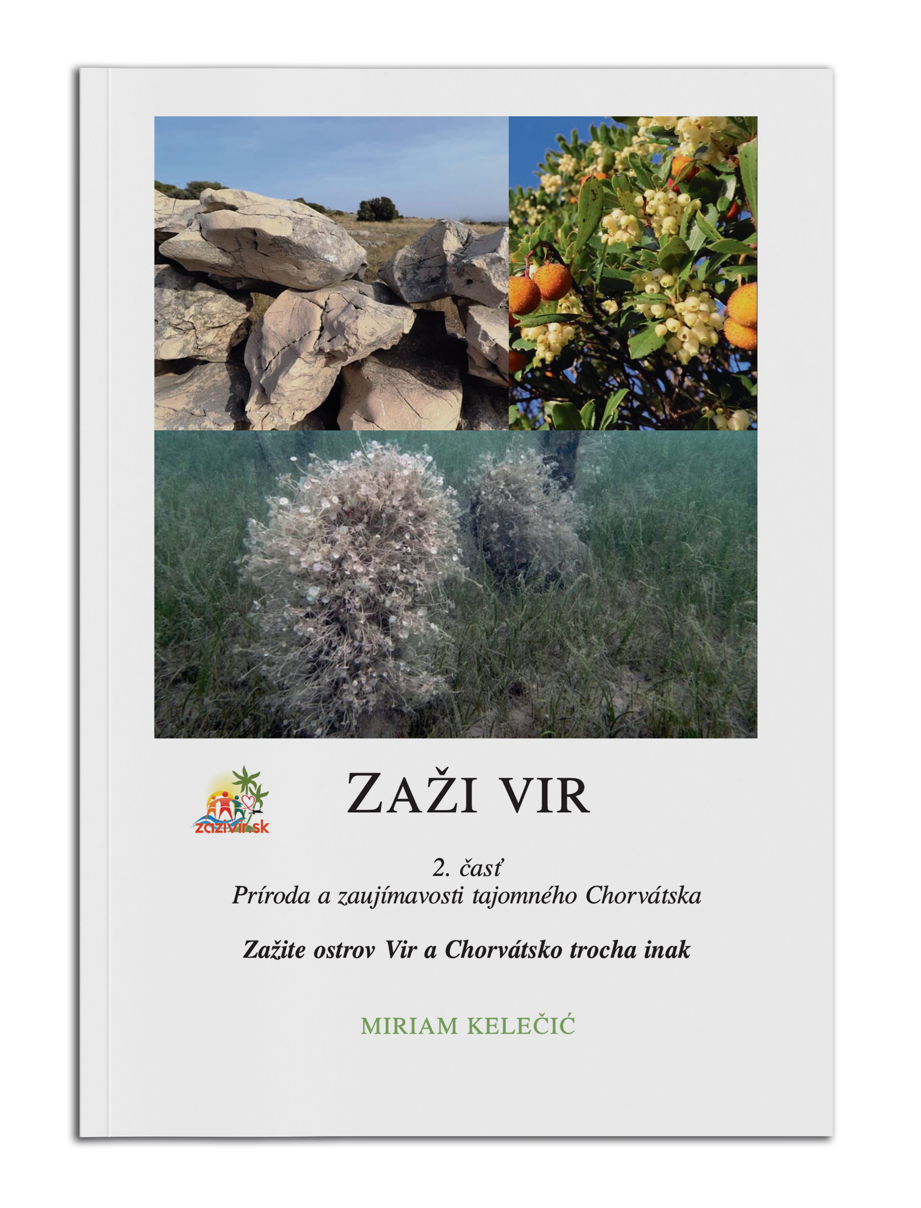Top View Magazine Mockup by Anthony Boyd Graphics
